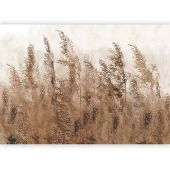 Fototapeta - Wysokie trawy - brązowy - obrazek 5