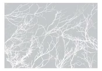 Fototapeta - Białe drzewa - obrazek 2