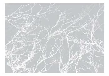 Fototapeta wodoodporna - Białe drzewa - obrazek 2