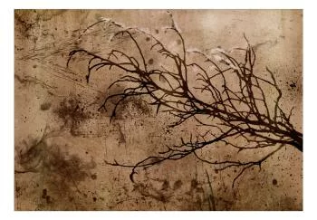 Fototapeta wodoodporna - Rachityczna wiśnia - obrazek 2