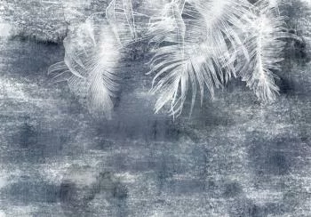Fototapeta - Enigmatyczna roślina - pierwszy wariant - obrazek 6