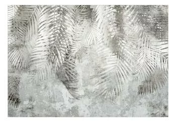 Fototapeta wodoodporna - Światło i cień - szaro-biała kompozycja z motywem roślinnym i deseniem - obrazek 2