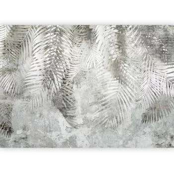 Fototapeta - Światło i cień - obrazek 5