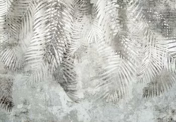 Fototapeta - Światło i cień - obrazek 6