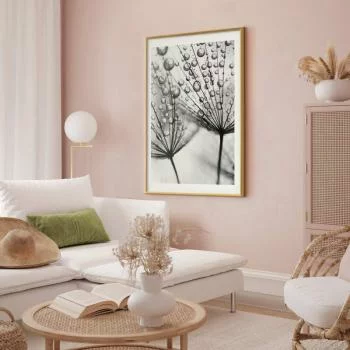 Plakat - Rosa w skali makro - obrazek 2