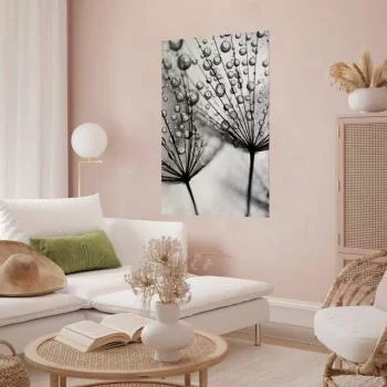 Plakat - Rosa w skali makro - obrazek 2