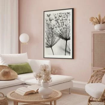 Plakat - Rosa w skali makro - obrazek 2