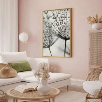 Plakat - Rosa w skali makro - obrazek 2