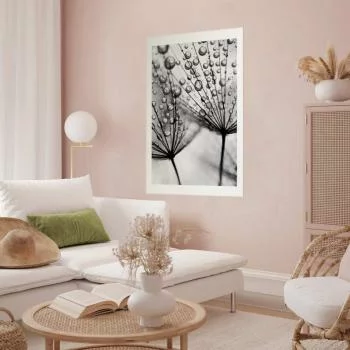 Plakat - Rosa w skali makro - obrazek 2