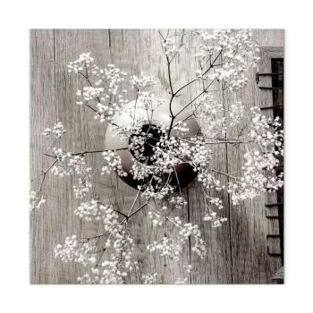 Obraz - Suszone kwiaty (1-częściowy) kwadrat - obrazek 2