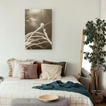 Obraz - Puszysta trawa (1-częściowy) pionowy - obrazek 6