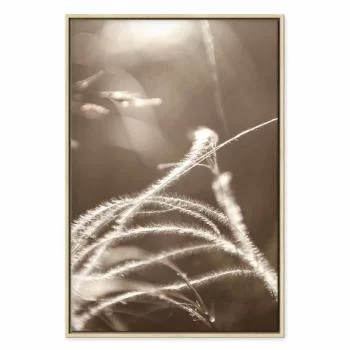 Obraz - Puszysta trawa (1-częściowy) pionowy - obrazek 2