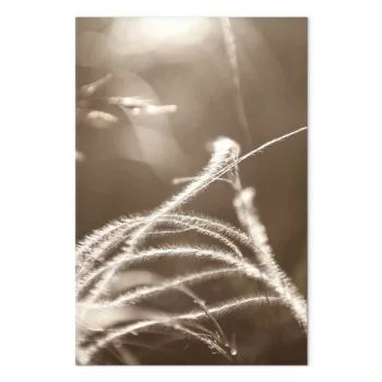 Obraz - Puszysta trawa (1-częściowy) pionowy - obrazek 2