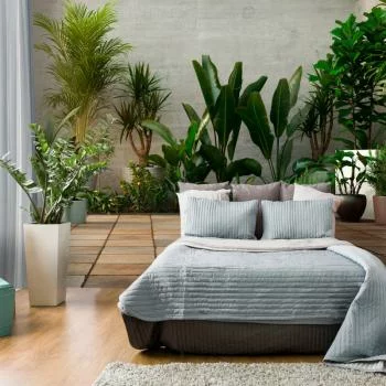 Fototapeta wodoodporna - Domowy ogród - obrazek 2