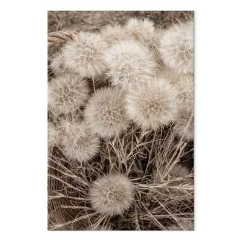 Obraz - Delikatne grono (1-częściowy) pionowy - obrazek 2