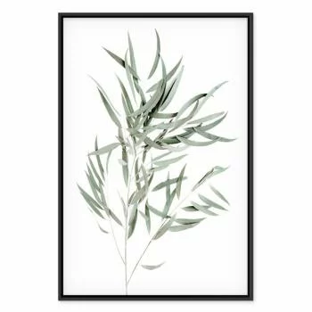 Obraz - Eukaliptus Nicholii (1-częściowy) pionowy - obrazek 2