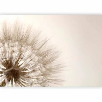Fototapeta - Natura w przybliżeniu - motyw zbliżonego kwiatu dmuchawca w sepii - obrazek 5