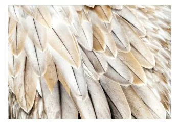 Fototapeta wodoodporna - Skrzydła ptaka z bliska - jednolite zbliżenie na beżowe pióra ptaka - obrazek 2