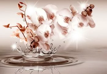 Fototapeta - Dotyk czułości - obrazek 6