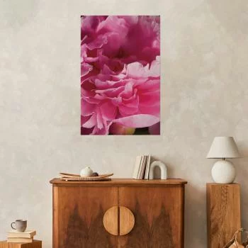 Plakat - Piękne piwonie - obrazek 2