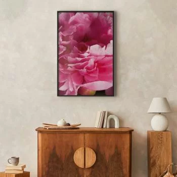 Plakat - Piękne piwonie - obrazek 2