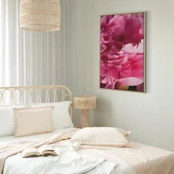 Obraz - Rozkwit piękna (1-częściowy) - różowy kwiat piwonii w objęciach natury - obrazek 6