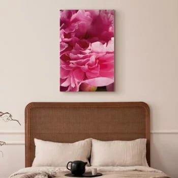 Obraz - Rozkwit piękna (1-częściowy) - różowy kwiat piwonii w objęciach natury - obrazek 6