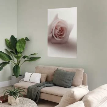 Plakat - Różany cień - obrazek 2
