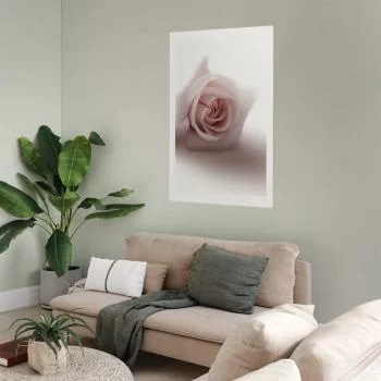 Plakat - Różany cień - obrazek 2