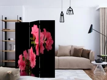 Parawan - Azalea in Black - obrazek 2