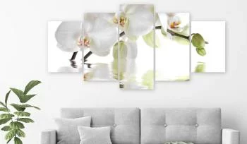 Obraz - Wspaniała orchidea (5-częściowy) szeroki - obrazek 2