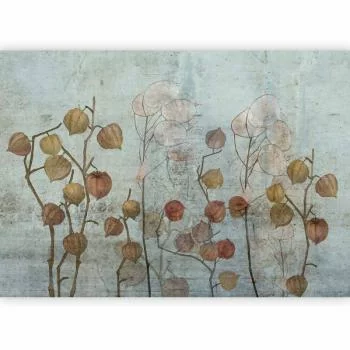 Fototapeta - Malowana lunaria - obrazek 5