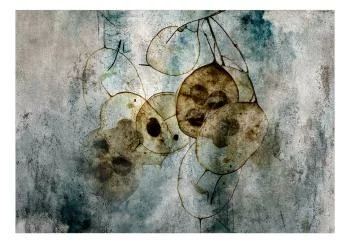 Fototapeta wodoodporna - Naturia i lunaria - obrazek 2