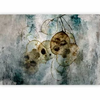 Fototapeta - Naturia i lunaria - obrazek 5