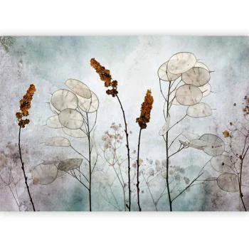 Fototapeta - Lunaria na łące - obrazek 5