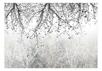 Fototapeta wodoodporna - Naturalna jasność - obrazek 2