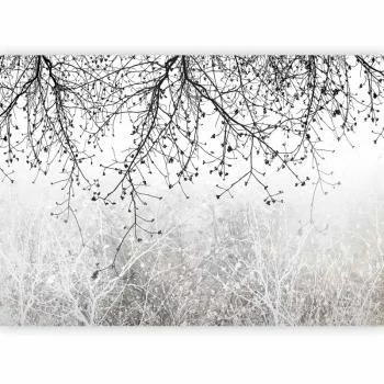 Fototapeta - Naturalna jasność - obrazek 5
