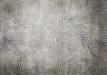 Fototapeta - Natura w zmroku - obrazek 6