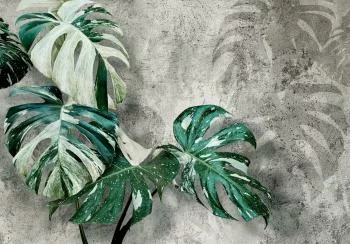 Fototapeta - Variegata - obrazek 6