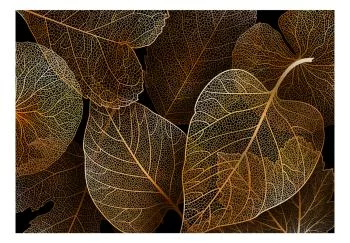 Fototapeta wodoodporna - Natura w moim domu - pierwszy wariant - obrazek 2