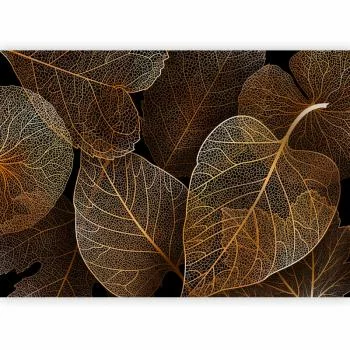 Fototapeta - Natura w moim domu - pierwszy wariant - obrazek 2