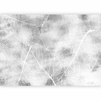 Fototapeta - Natura w moim domu - trzeci wariant - obrazek 2
