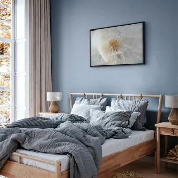 Obraz - Dmuchawiec w słońcu (1-częściowy) szeroki - obrazek 6