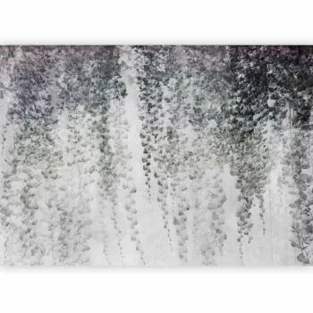 Fototapeta - Oaza spokoju - pejzaż wiszących pnącz czarnych liści na szarym tle - obrazek 2