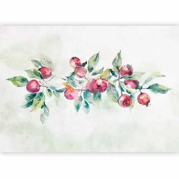 Fototapeta - Gałąź jabłoni - pejzaż z rośliną i czerwonymi jabłkami na białym tle - obrazek 2