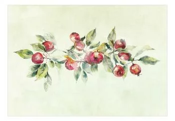 Fototapeta wodoodporna - Gałąź jabłoni - delikatny pejzaż z rośliną i jabłkami na białym tle - obrazek 2