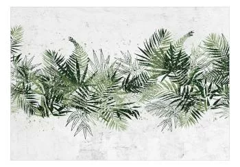 Fototapeta wodoodporna - Dżungla i zielony pióropusz - duże liście tropikalne na białym tle - obrazek 2