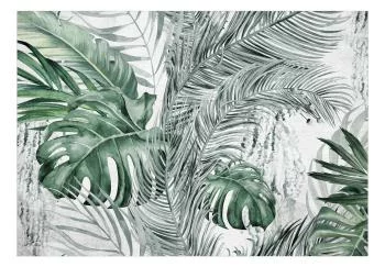 Fototapeta - Gęsta dżungla - obrazek 2