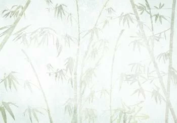 Fototapeta - Dżungla w Azji