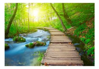 Fototapeta wodoodporna - Zielony las - obrazek 2